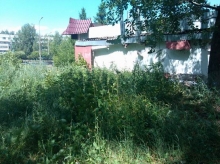 Здание 23/05В зарастает травой